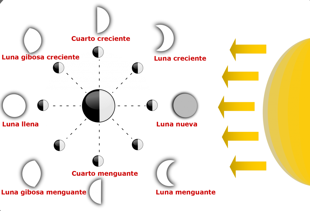 Fases lunares. Conoce las fase lunar hoy y otras fases lunares.