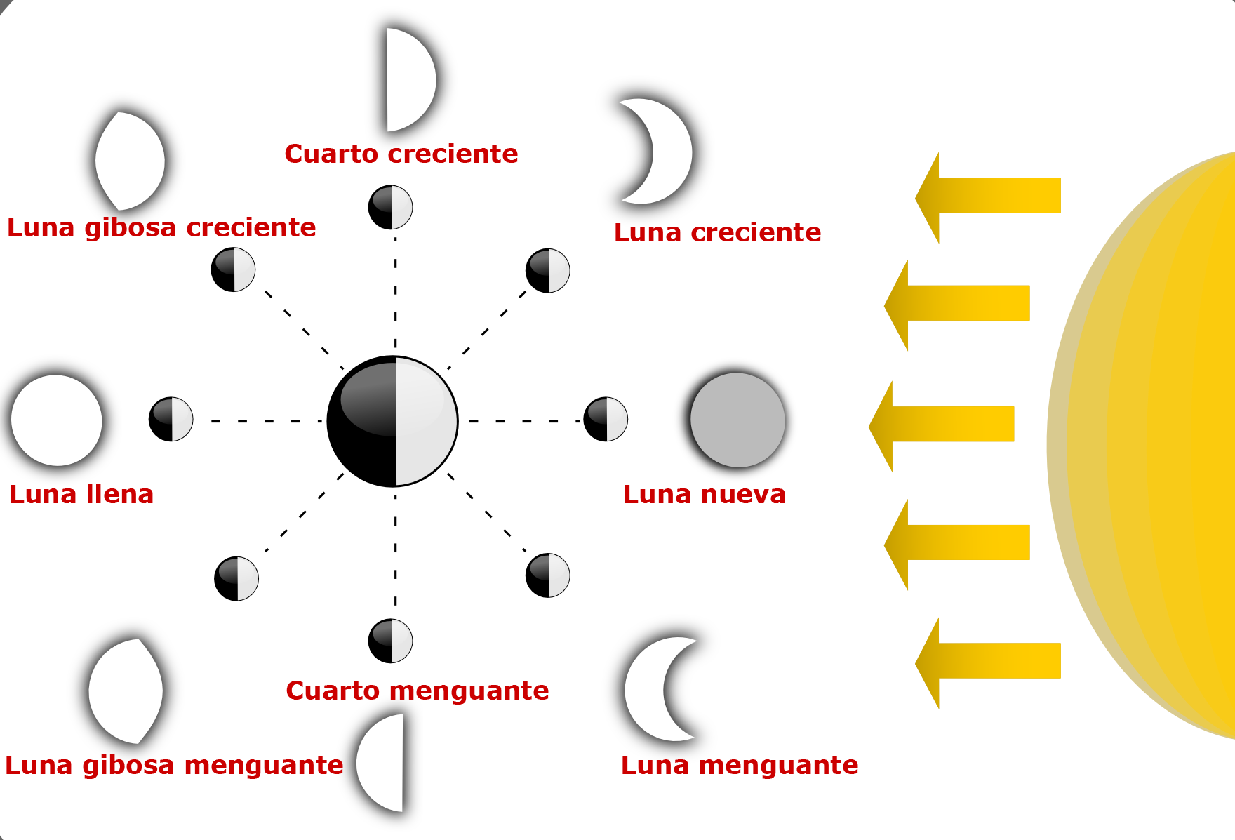 Fase lunar hoy y ahora Calendario